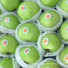 Export First Green Gala Apple (80/88/100/113/125)